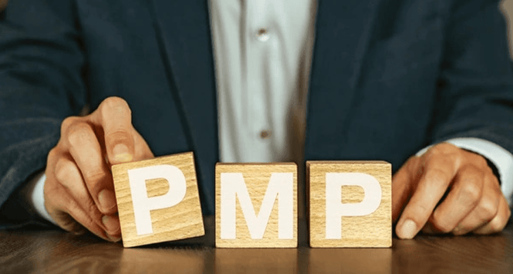 PMP - Project Management